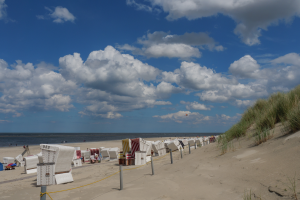 Bildungsurlaub auf der Nordseeinsel